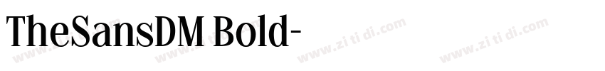 TheSansDM Bold字体转换